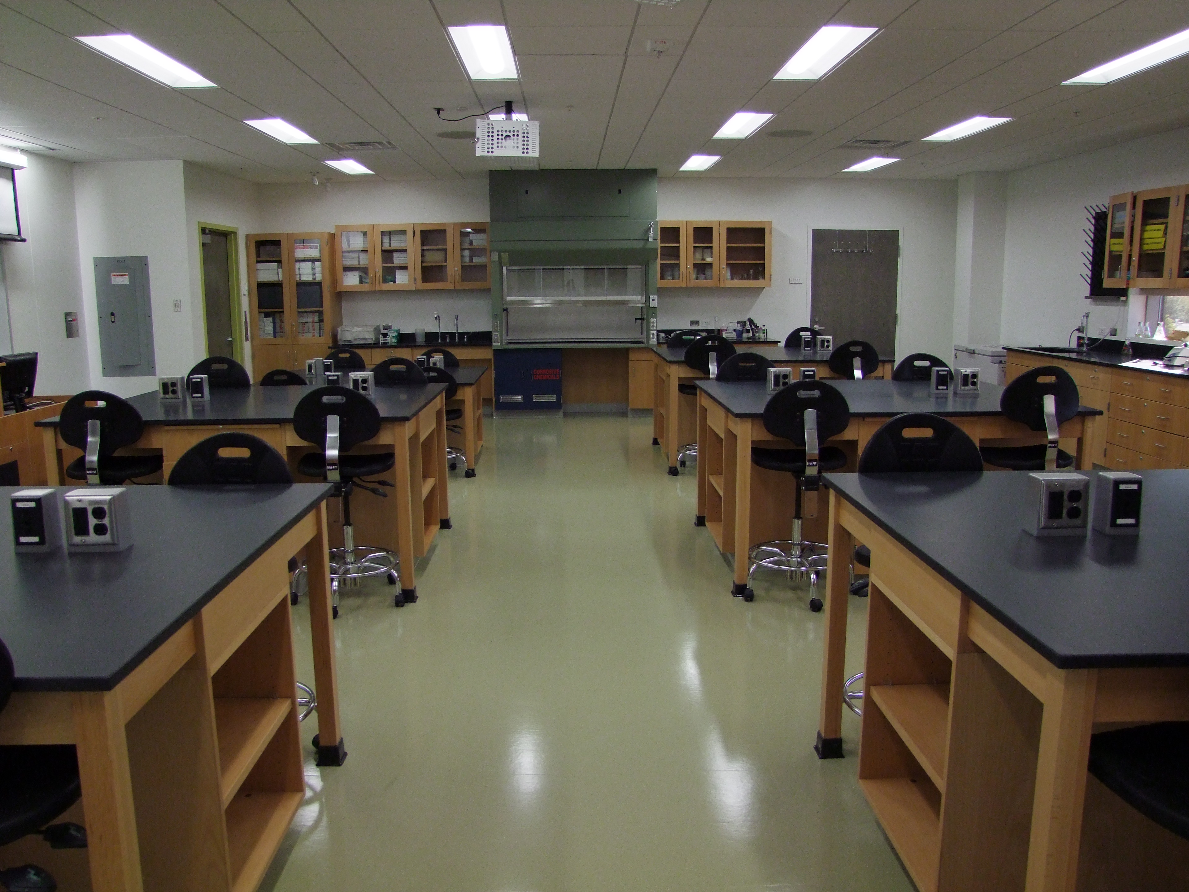 The Biotech Lab